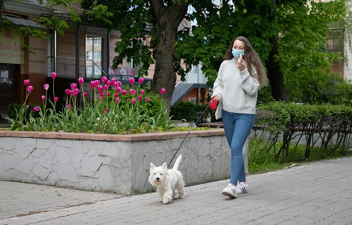 Специалист из Тулы назвала главные причины непослушания собак на прогулке