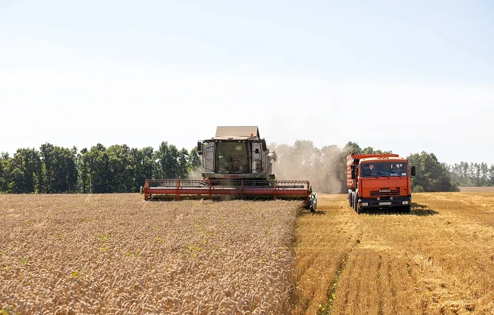 В Тульской области 16 августа пройдет выставка-демонстрация сельхозтехники, посвященная Дню урожая