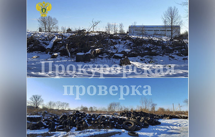 Прокуратура потребовала убрать свалку шин и ТКО в Щекинском районе