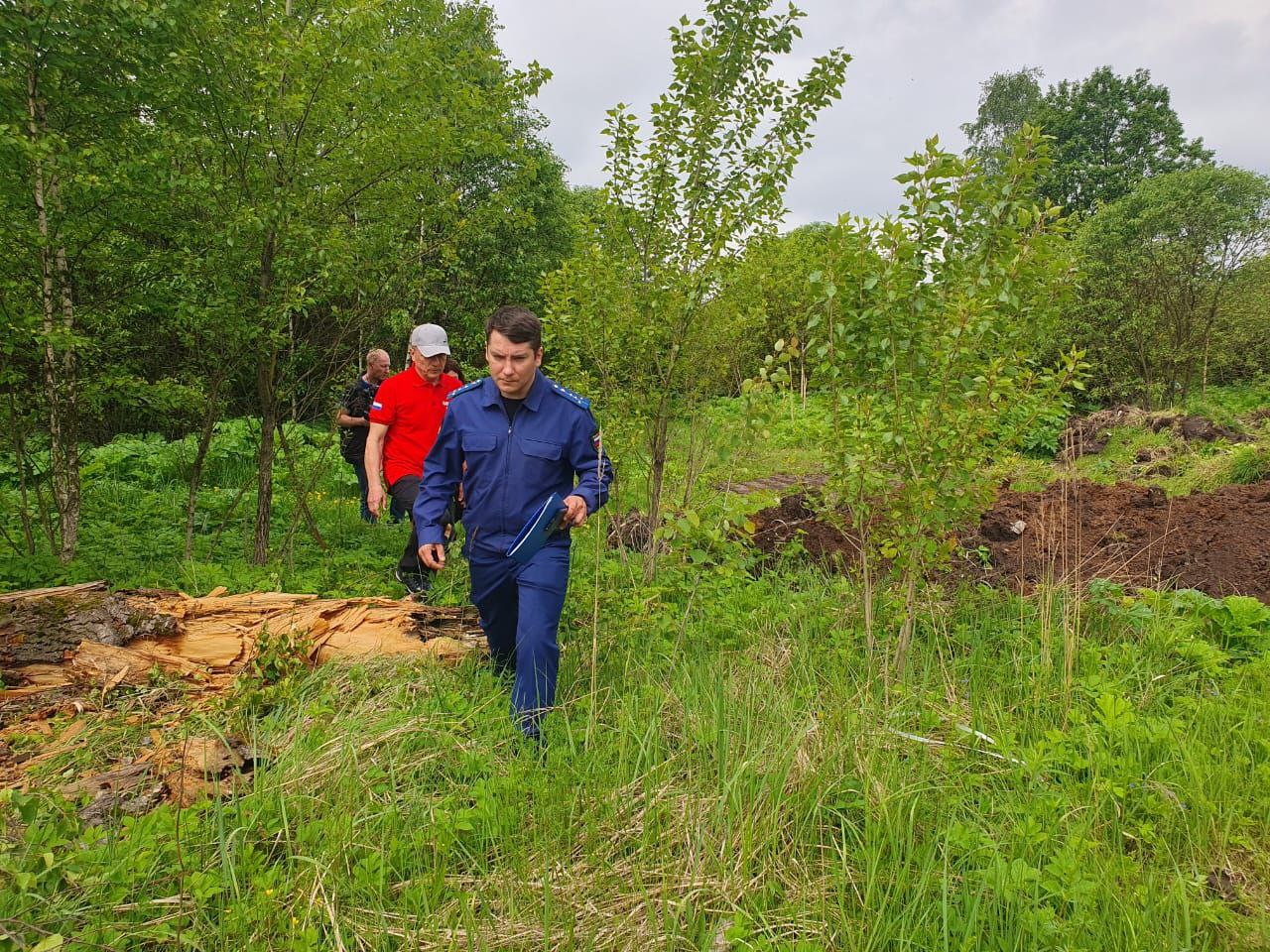 Тульская природоохранная прокуратура выявила несанкционированную свалку в лесополосе