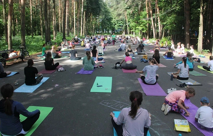 В Платоновском парке Тулы 2 августа пройдет «Большой летний пикник»