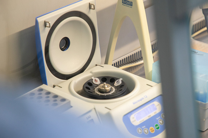 Глава Роспотребнадзора заявила, что риск распространения холеры в России минимален