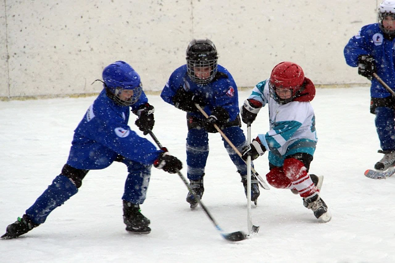 Тульская область хоккей