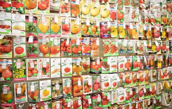 Россельхознадзор выявил незаконную продажу семян в Тульской области