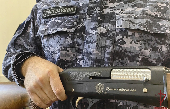 У жителей Тульской области за неделю изъяли 16 единиц оружия