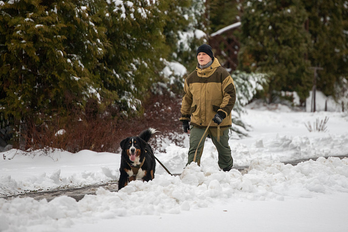 Глава СПЧ заявил о том, что каждую потенциально опасную собаку необходимо обучать и ставить на учет