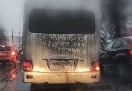 В Туле заметили автобус, который «везет пингвинов»