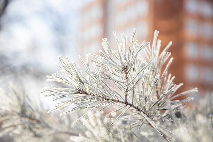 Крещение в 2023 году может стать самым теплым в 21-м веке