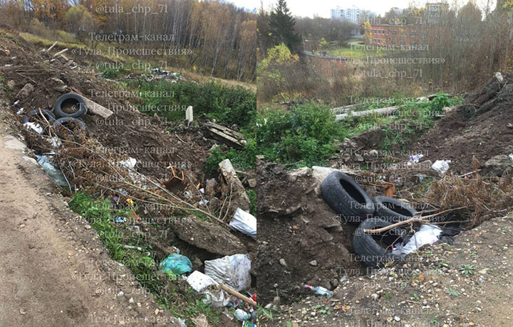Жители Алексина пожаловались на стихийную свалку вдоль дороги