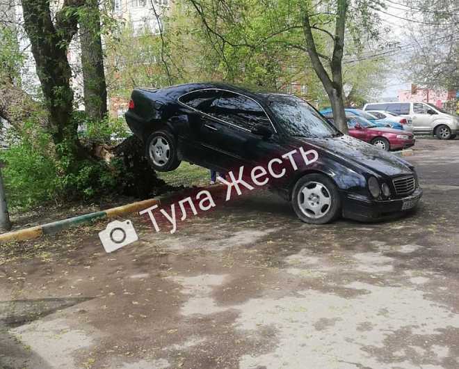 Упавшее дерево в Туле приподняло автомобиль над землей