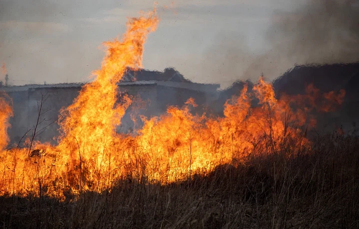 Высокая пожароопасность сохранится в Тульской области в первый день лета