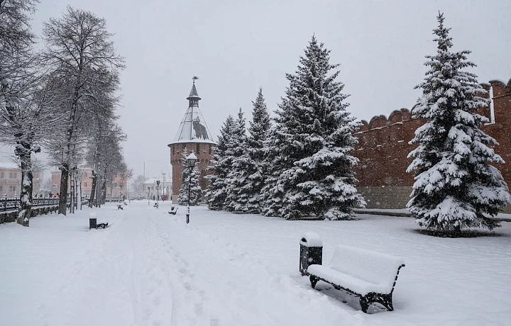 Придет потепление: синоптик Ильин рассказал о погоде в Тульской области с 26 по 30 января