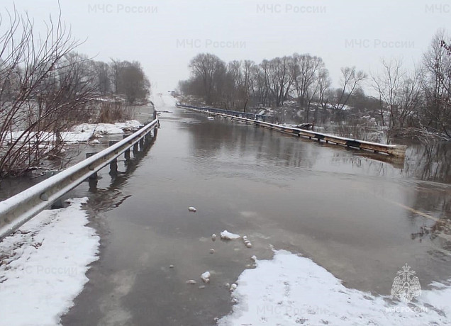 МЧС готово осуществить подрыв льда на реках, подтопивших мосты в Тульской области