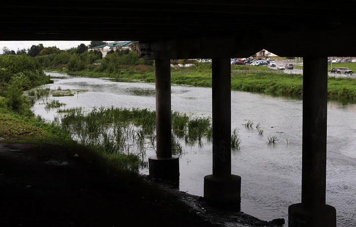 Долой «болото» в центре города: к концу года в Туле разработают дизайн-проекта благоустройства набережной реки Упы