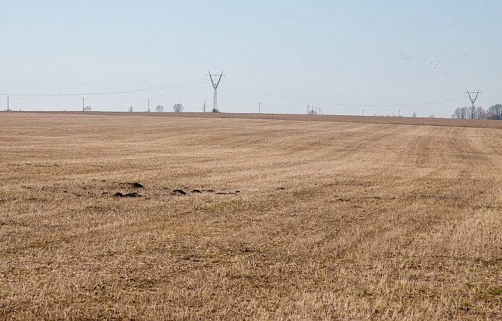 Тулякам представили рейтинг кадастровых инженеров по итогам девяти месяцев 2025 года