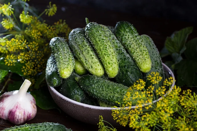 За неделю в Тульской области подорожали огурцы