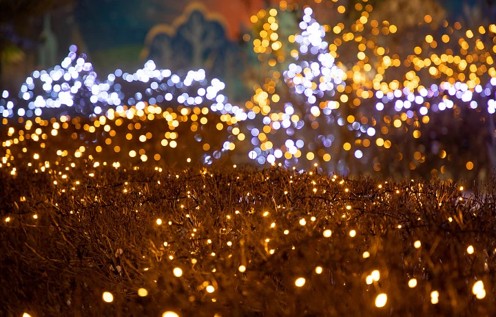 Роспотребнадзор рассказал тулякам, как выбрать елочную гирлянду