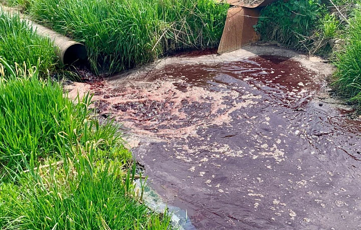 Мясокомбинат в Донском сливал кровавые стоки в реку: ущерб превысил 7 миллионов рублей