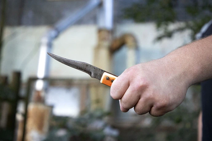 Кимовчанка отработает 240 часов за нападение с ножом на сожителя