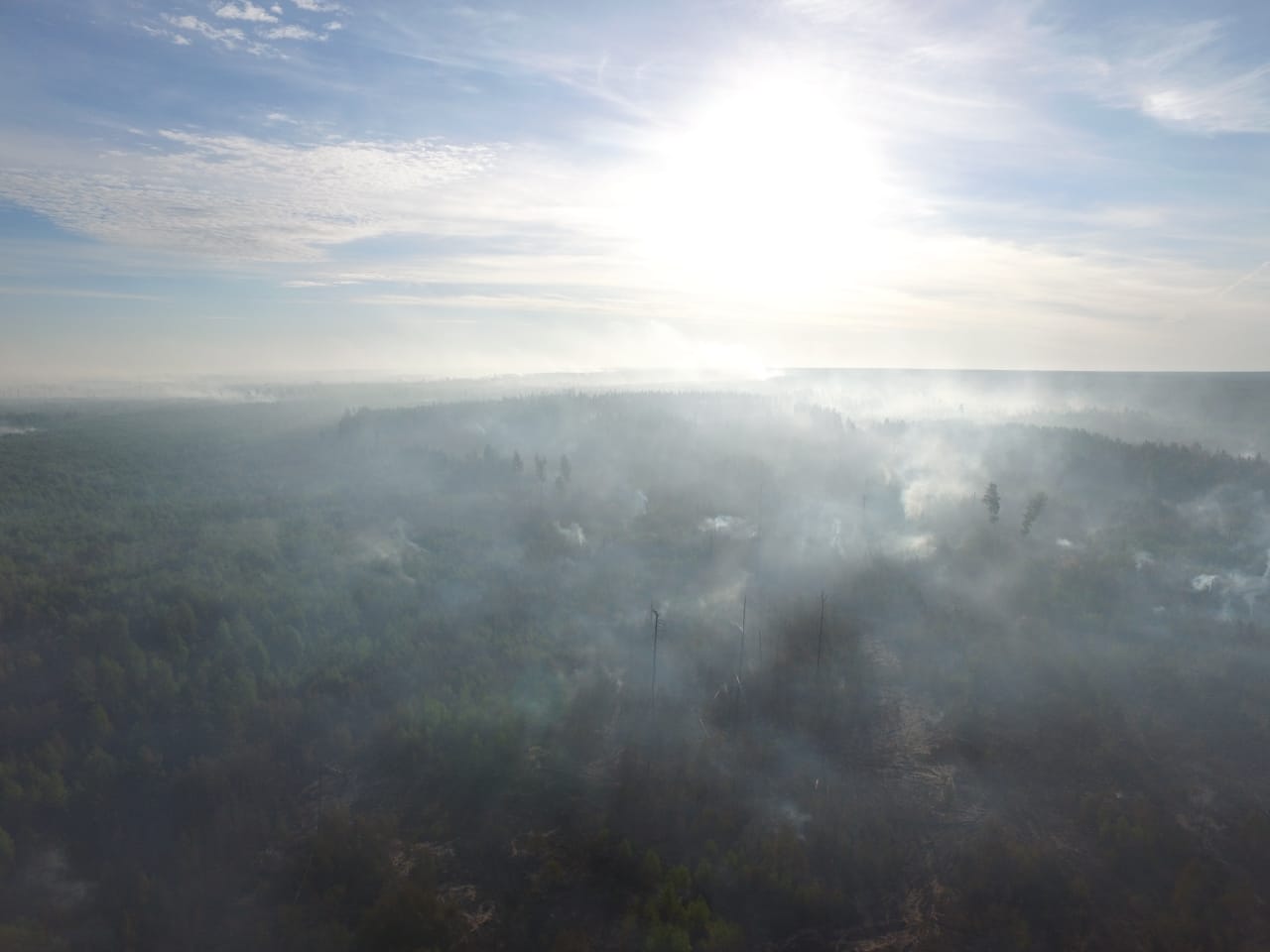 Сотрудники тульского МЧС России сняли с воздуха лесные пожары в Рязанской области