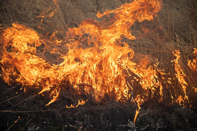 На территории Тульской области объявлено чрезвычайное положение из-за высокой степени пожароопасности