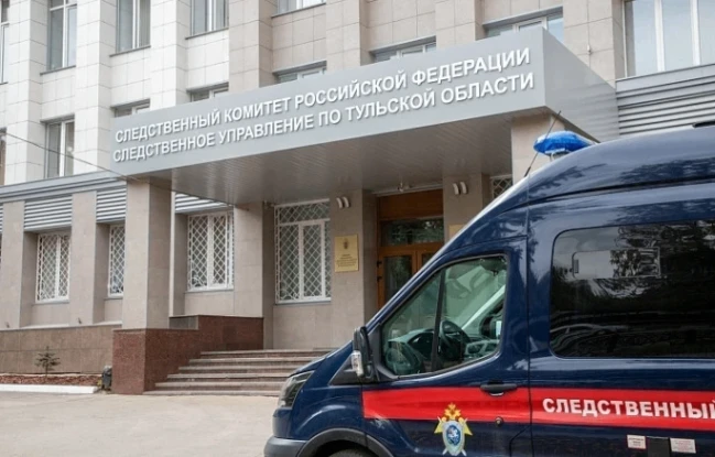 Тулячка, зарезавшая сожителя ножом во время ссоры, получила 8,5 лет колонии