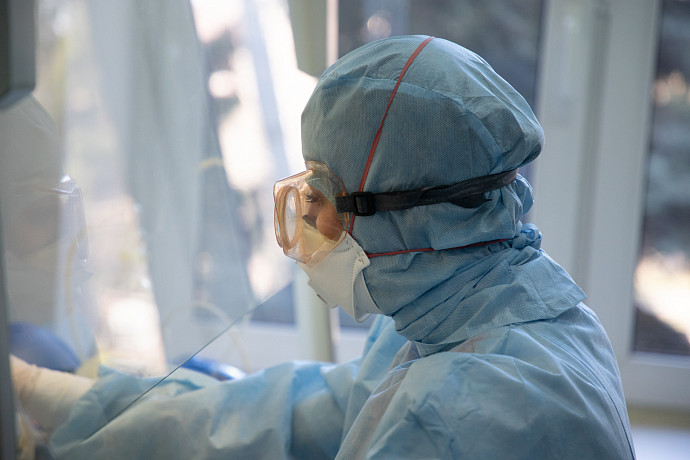 Медики предупредили о вспышке «верблюжьего гриппа» в Великобритании