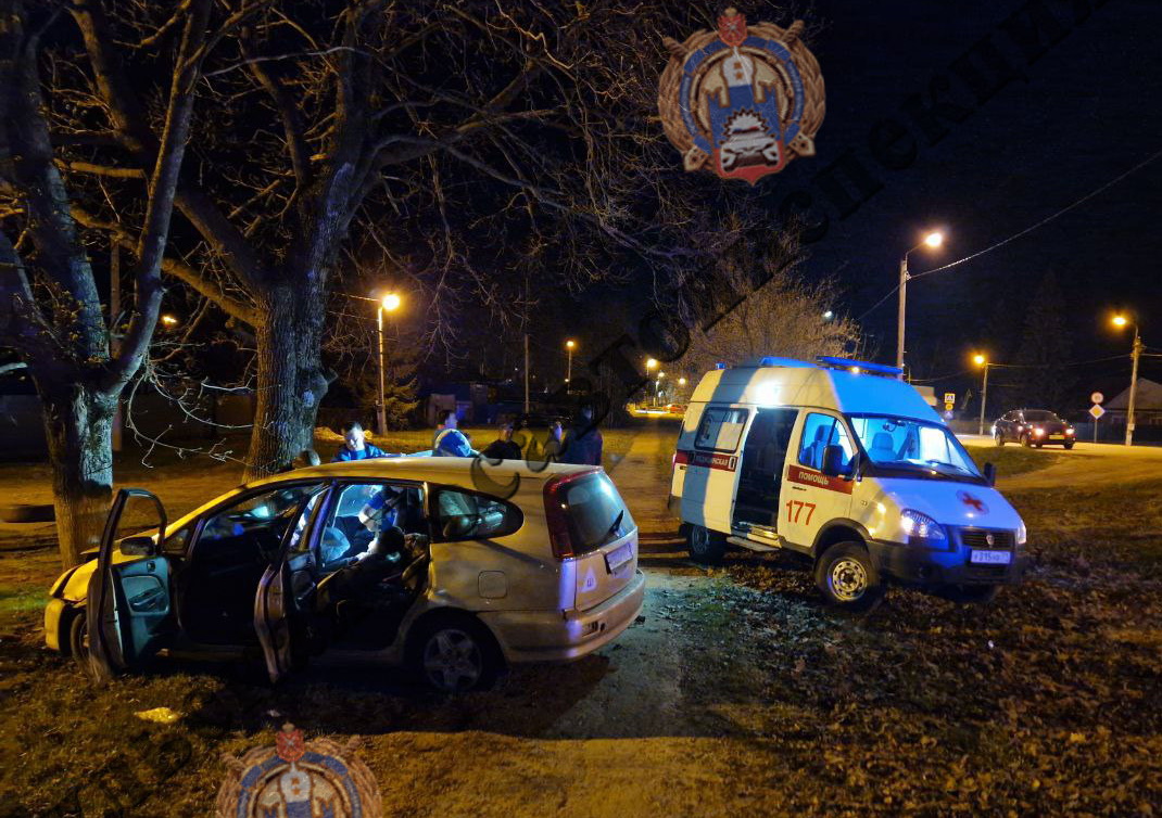 На трассе "Лапотково – Ефремов" в Тульской области водитель иномарки слетела в кювет и скончалась