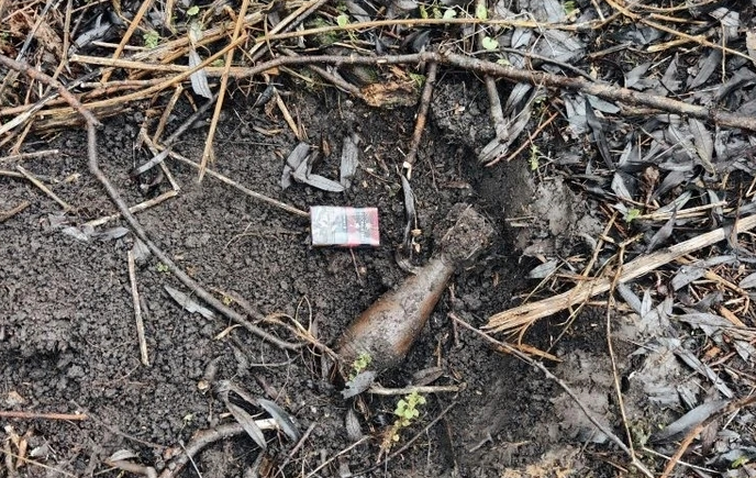 Мину времен Великой Отечественной войны нашли в Тульской области
