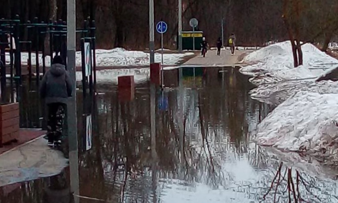 В Туле частично затопило Баташевский сад