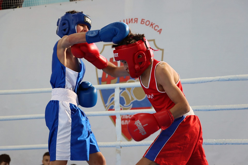 В Туле стартовали межрегиональные соревнования по боксу класса &quot;Б&quot;, посвященные памяти Романа Жабарова