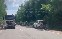 В Тульской области водитель сбил лося