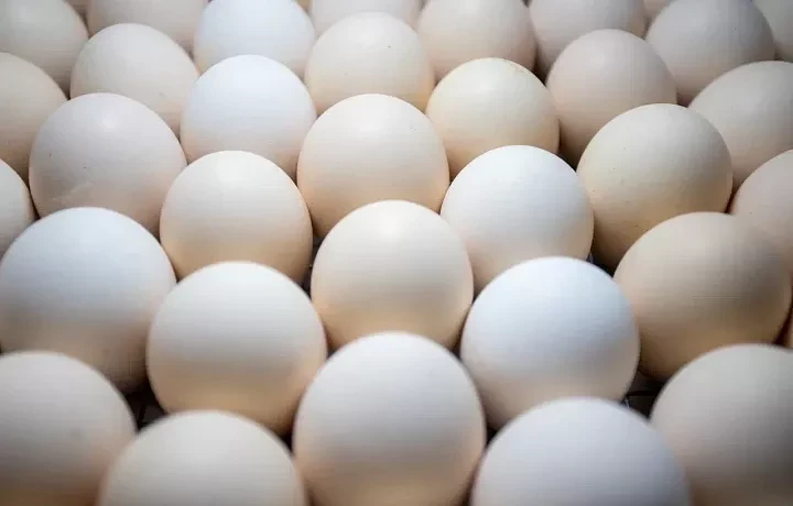 Яйца подорожали на 63,8% с начала года в Тульской области