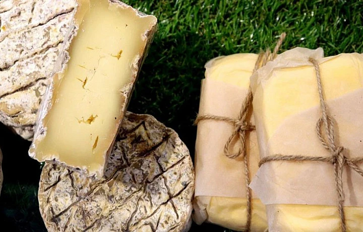 Роспотребнадзор выявил сыр от несуществующего производителя на полках тульских магазинов
