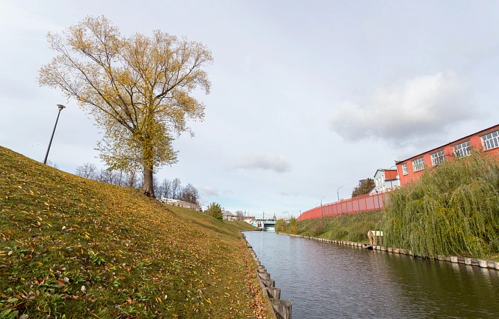 В Тульской области в ближайшие часы 25 октября ожидается  усиление ветра