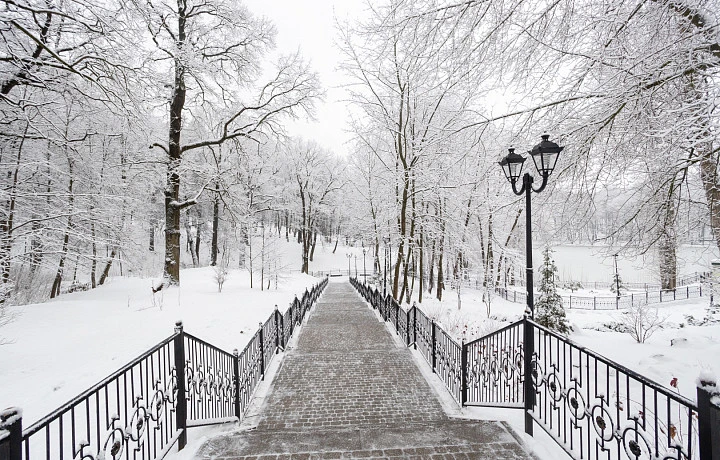 Геомагнитная буря и до -3 градусов: погода в Туле на 4 января