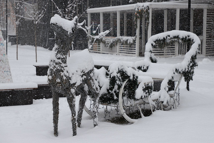 11 декабря в Тульской области ожидается мокрый снег с дождем