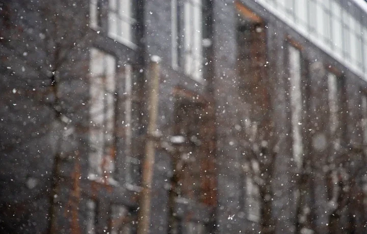 Снег с дождем, геомагнитная буря и до +1 градуса: прогноз погоды в Туле на 13 февраля