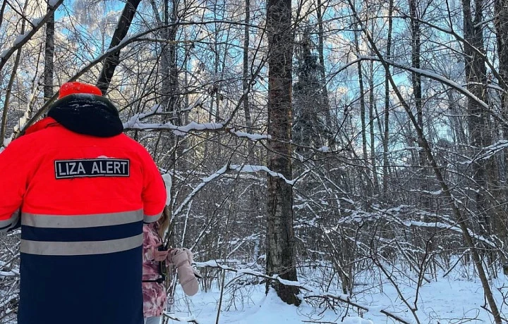 «Лиза Алерт»: за февраль в Тульской области пропал 31 человек