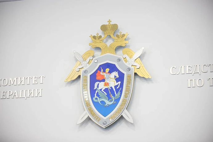 Жителя Ефремова отправят на принудительное лечение за поджог дома и смерть матери