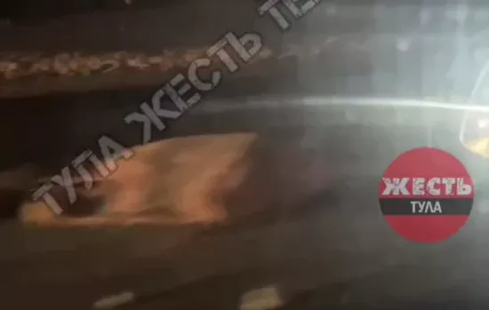 Стали известны подробности смертельного ДТП на М-2 под Тулой