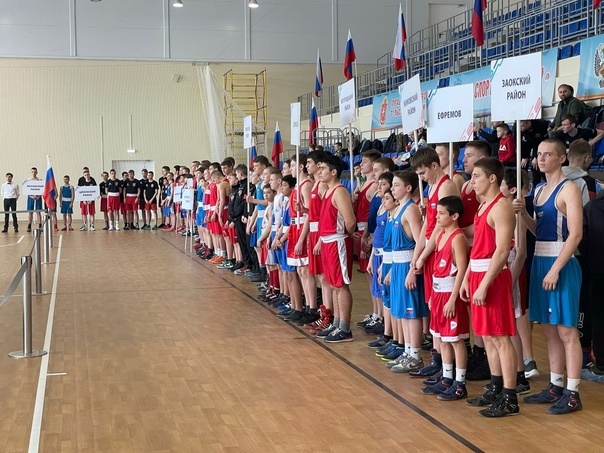 Алексинские боксеры приняли участие в областных соревнованиях
