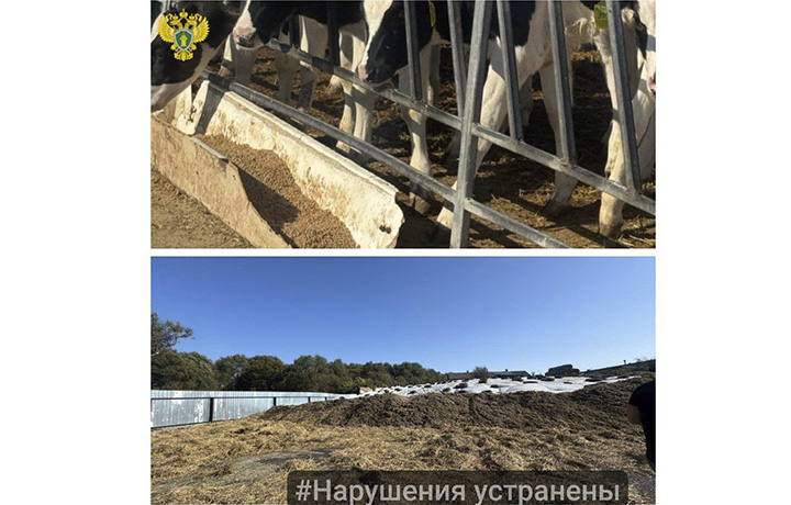 В селе Тульской области после дождя улицу затопило навозом с местного сельхозпредприятия