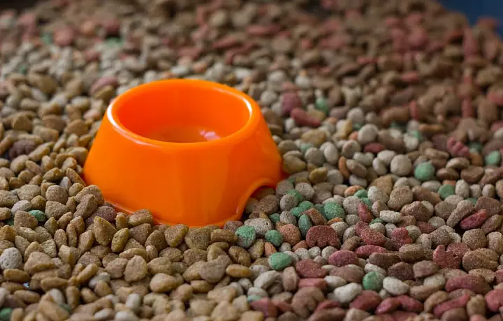 Россельхознадзор запретит ввоз кормов компании Farmina в Россию из-за мышьяка