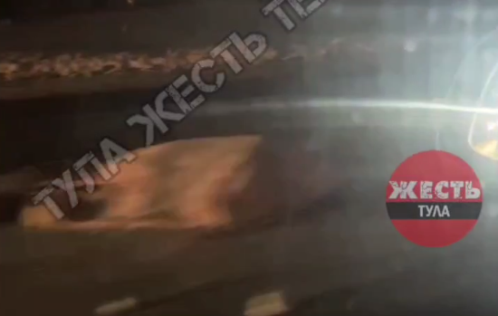 В Туле насмерть сбили пенсионерку на трассе М-2