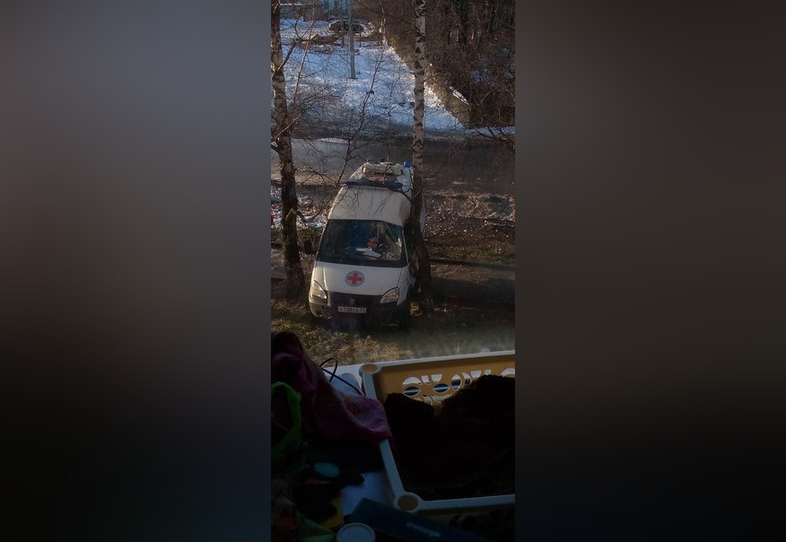 Машина скорой помощи столкнулась с деревом в Алексине Тульской области