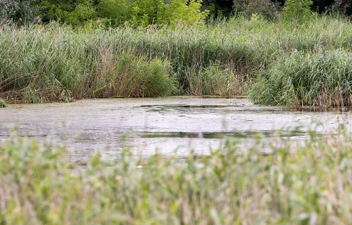 Узловский суд обязал «Водоканал» прекратить сброс нечистот в реку Шиворона
