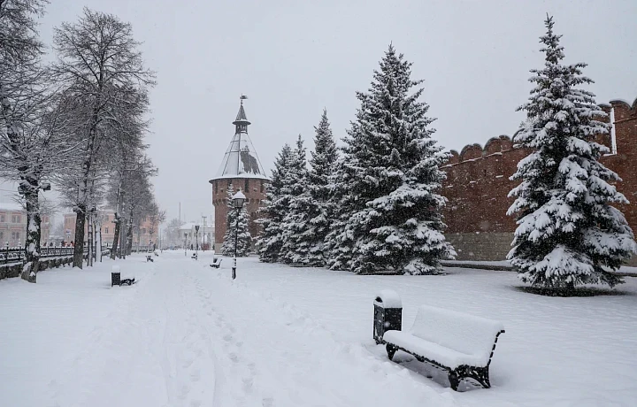 Ожидается оттепель: синоптик Ильин рассказал о погоде в Тульской области в с 9 по 13 февраля