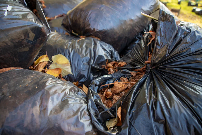 Почти 47 миллионов рублей из бюджета Тульской области направят на рекультивацию несанкционированных свалок