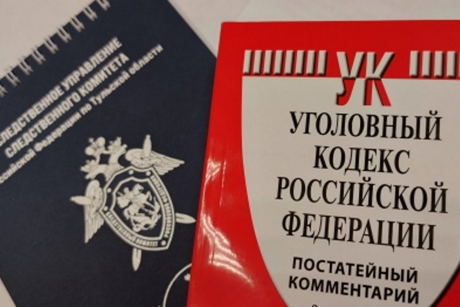 Житель Кимовского района пойдет под суд за взятку полицейскому